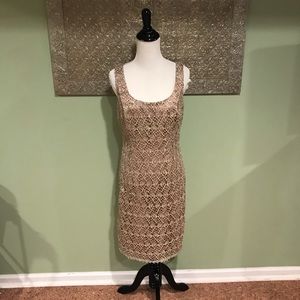 Adrianna Papell Sequin Net Overlay Dress